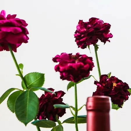 Adriana Appartamento Bilice