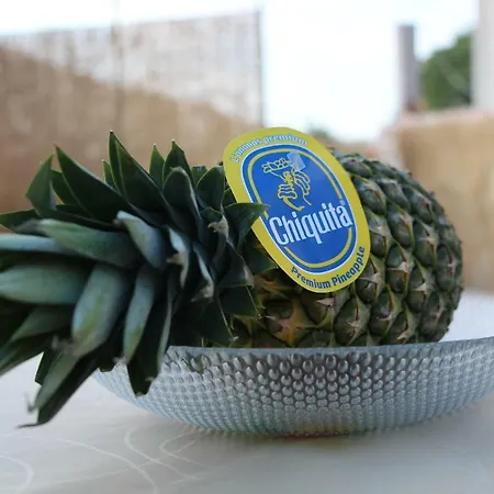 Adriana Appartamento Bilice