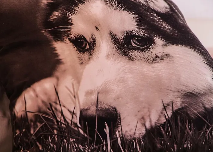 Adriana Apartment Bilice