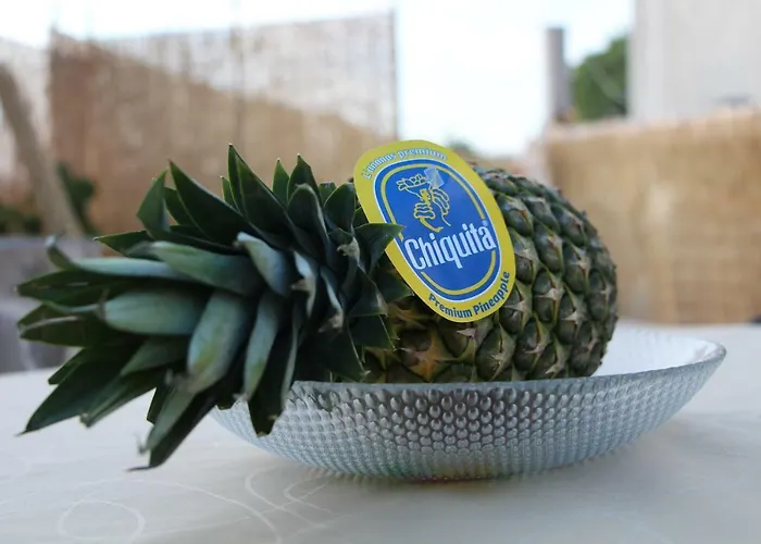 Adriana Apartman Bilice